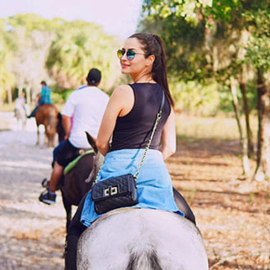 A cavallo