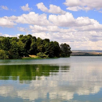 photo-gallery